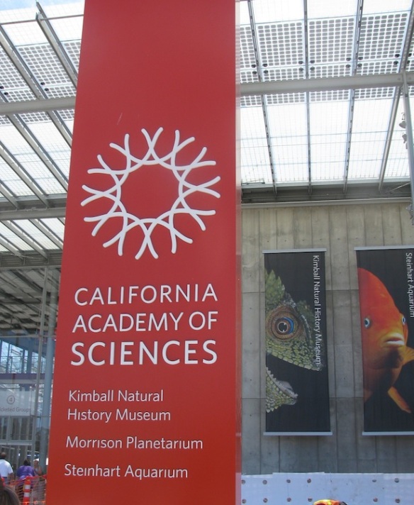 California Academy of Sciences Museum